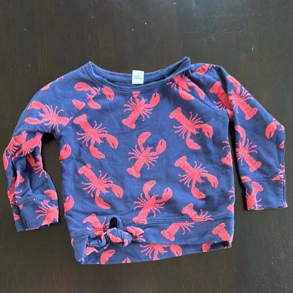 Old Navy Blue and Red Long Sleeve Tee